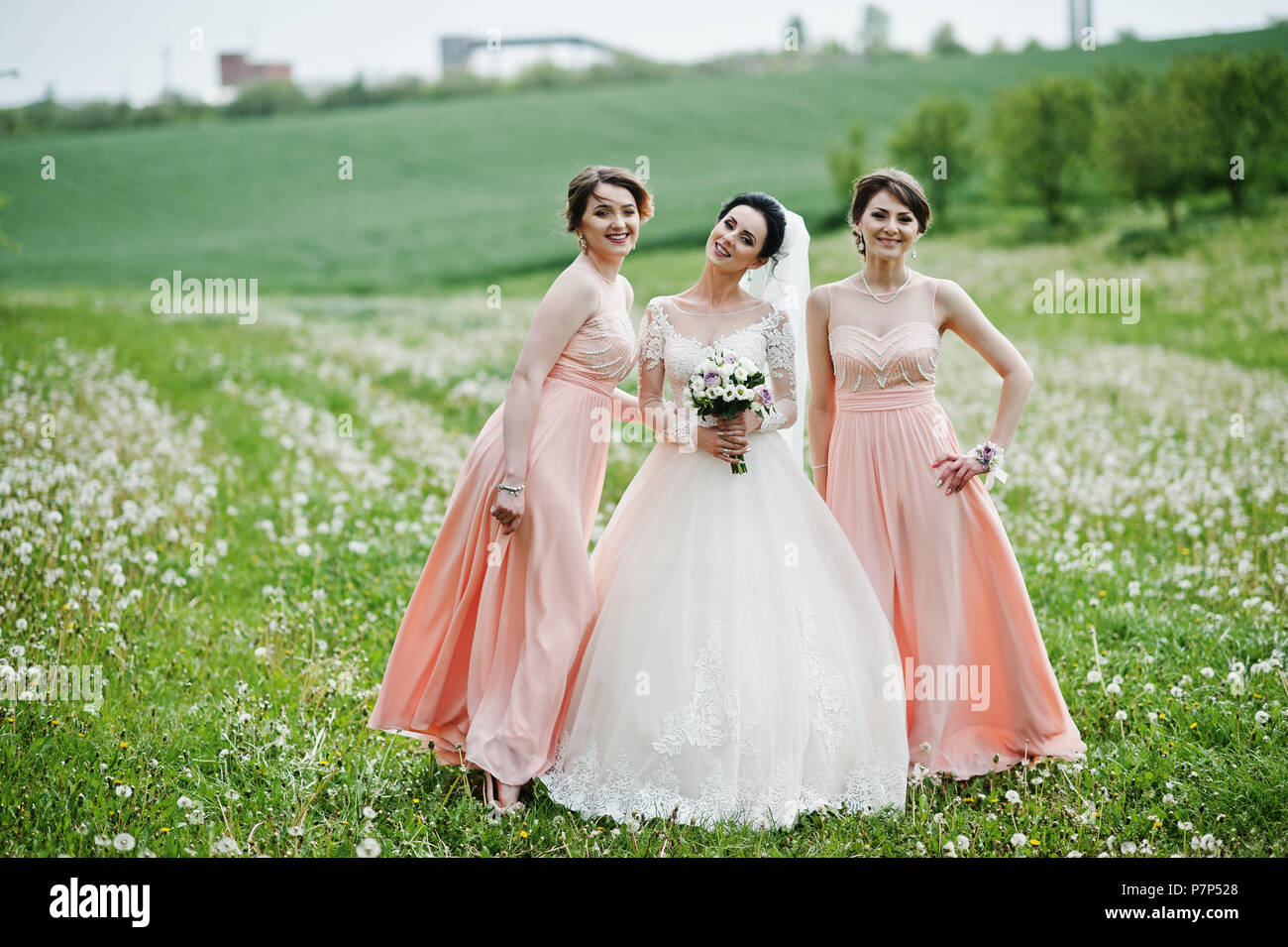 Bella Sposa in posa con bridesmaids sul campo pieno di fiori che il giorno del matrimonio. Foto Stock