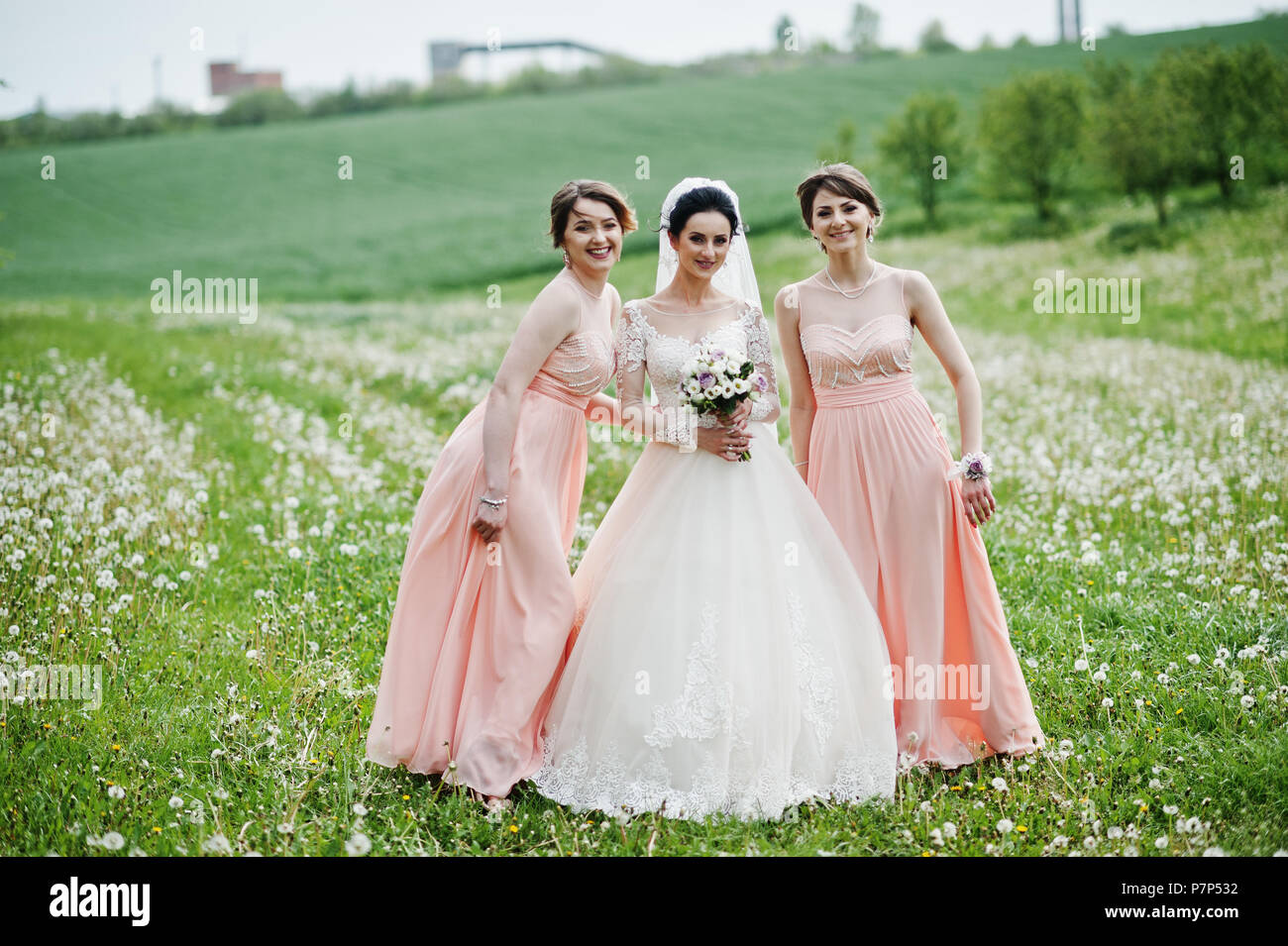 Bella Sposa in posa con bridesmaids sul campo pieno di fiori che il giorno del matrimonio. Foto Stock