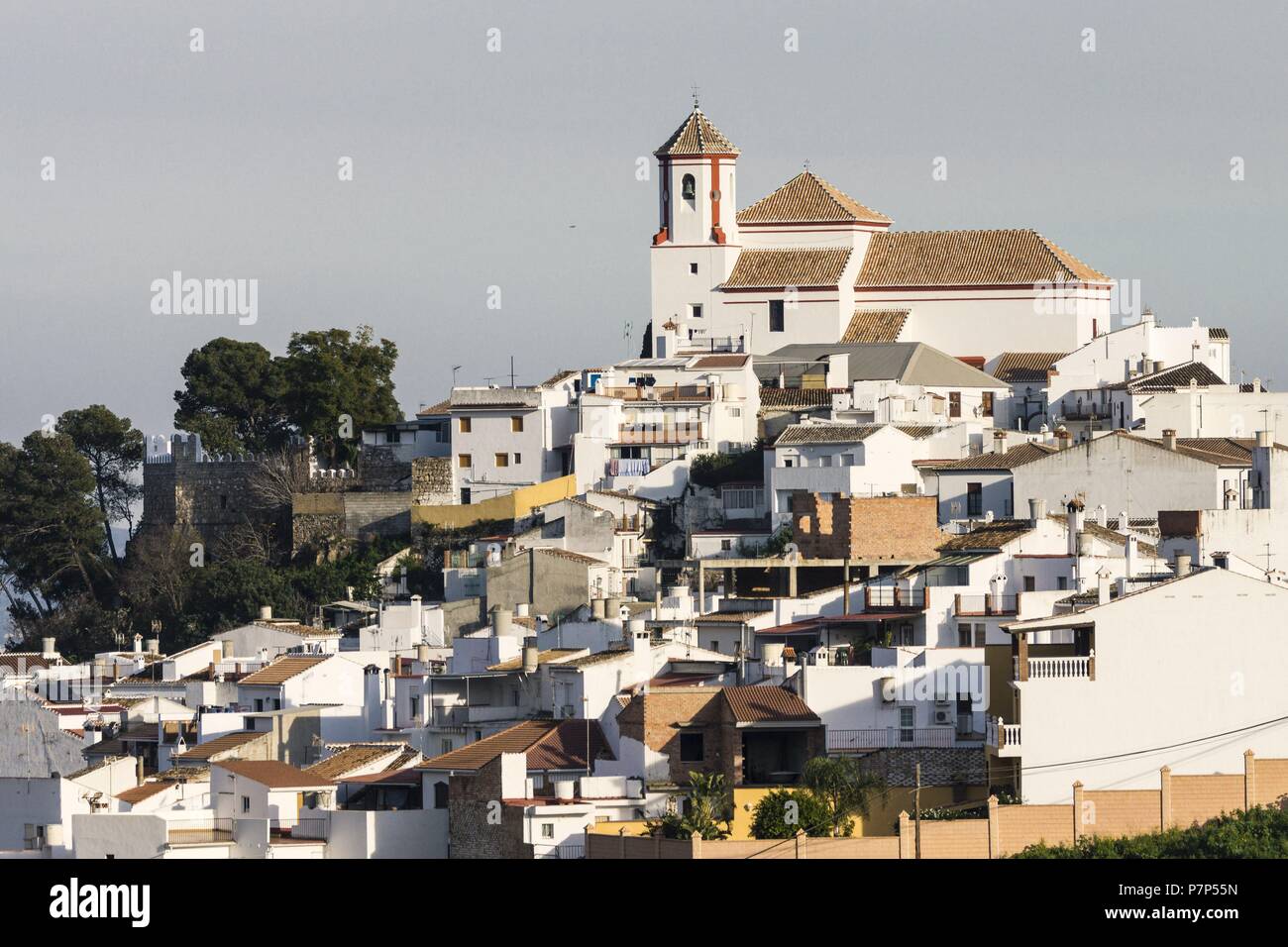 Alozaina fino ,provincia de Málaga, ,Sierra de las Nieves in Andalusia, Spagna. Foto Stock