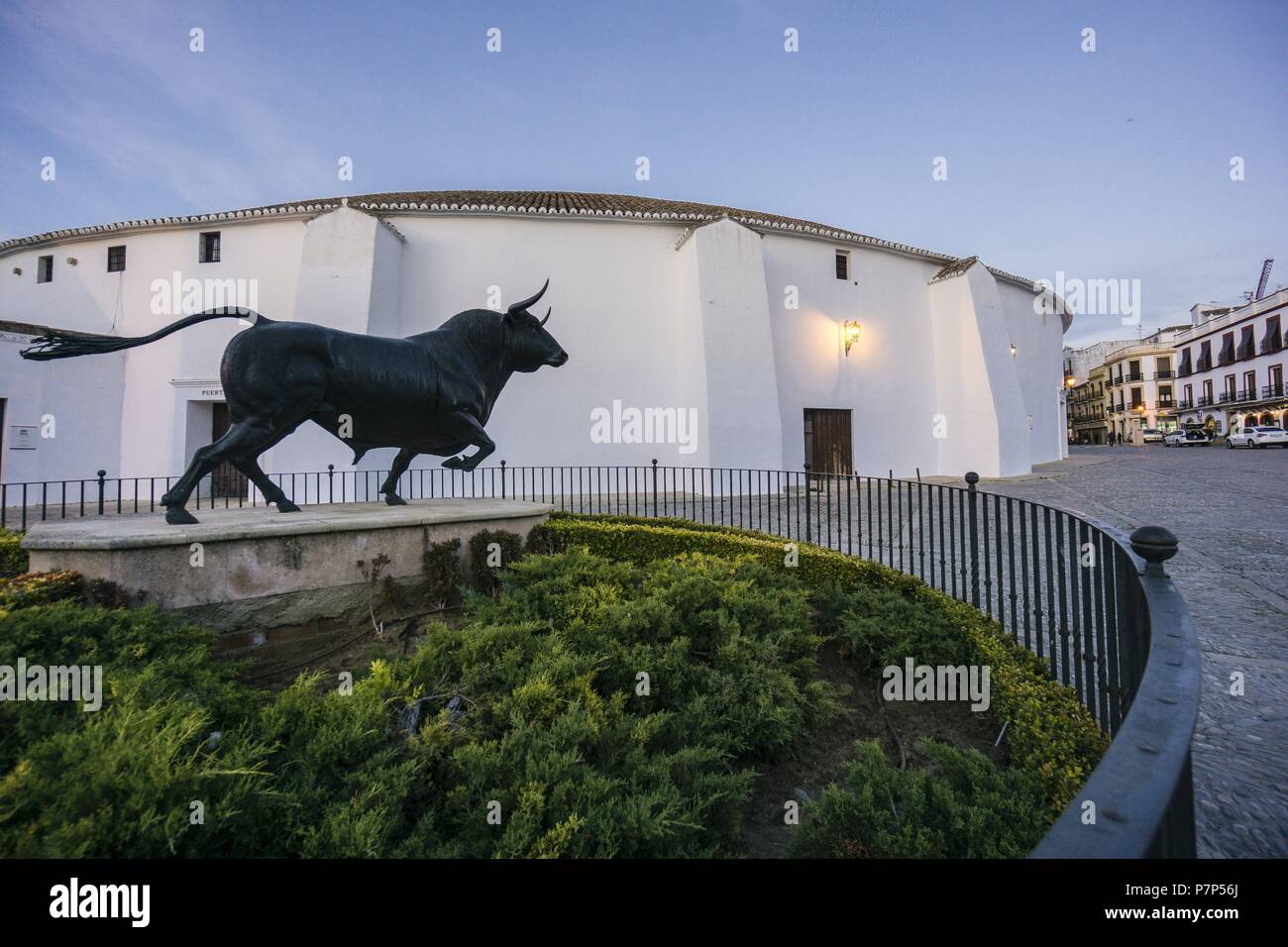 Plaza de Toros de Ronda, propiedad de la Real Maestranza de Caballería de Ronda Ronda ,provincia de MálagaAndalucia, Spagna. Foto Stock