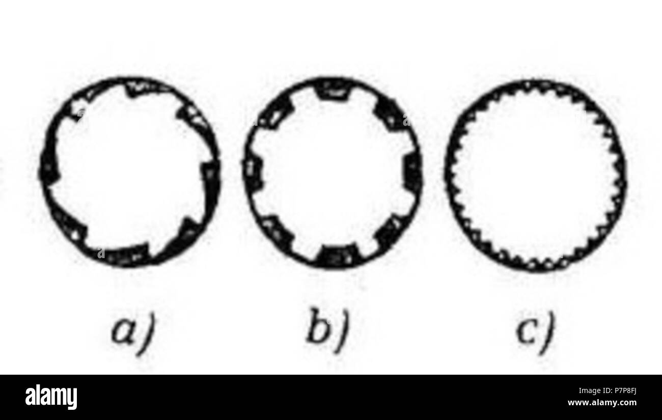 : ' ' . 21 aprile 2013, 14:53:18 50 Boeheim (463) Foto Stock