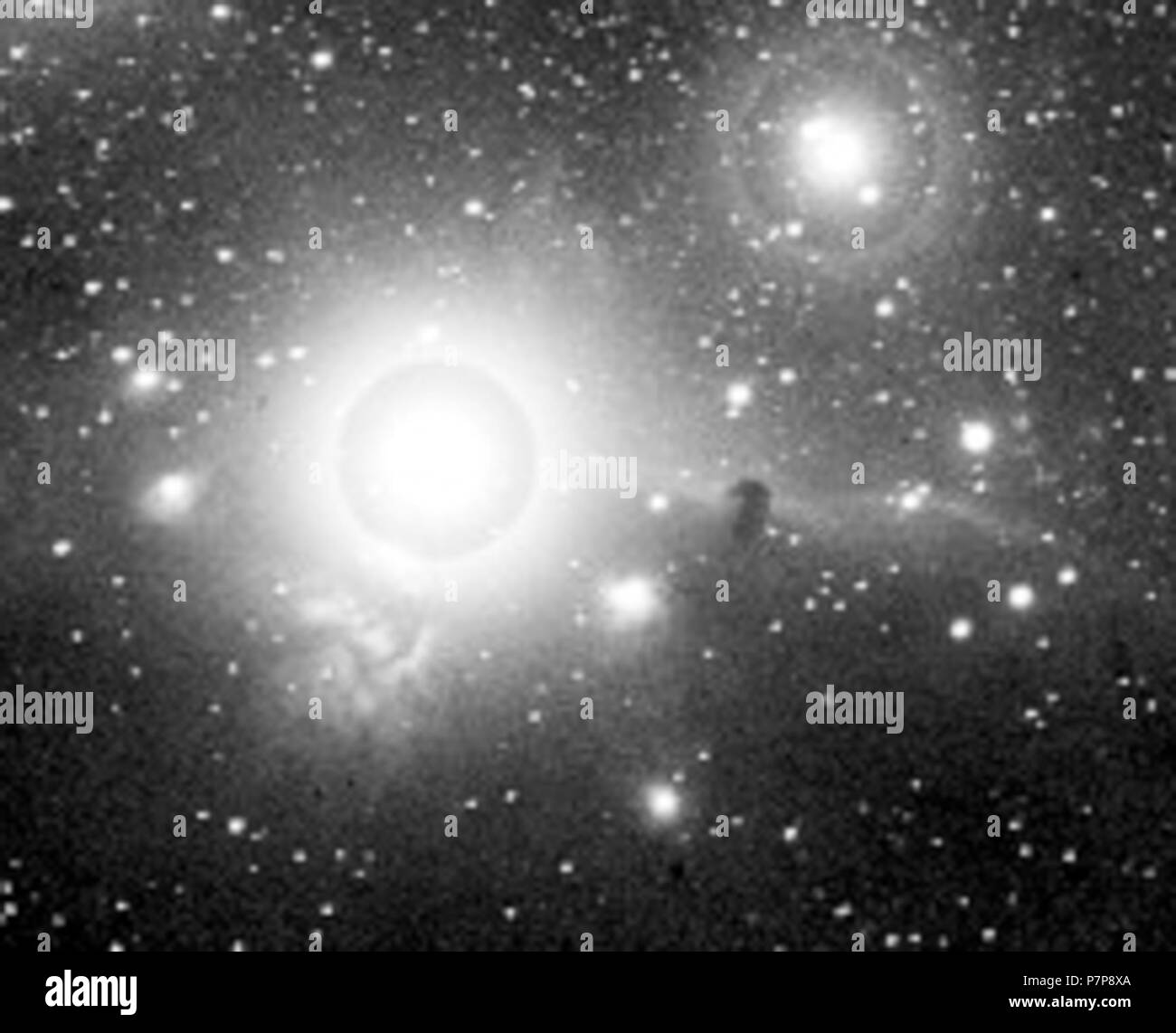 Inglese: IC 434, Horsehead Nebula . 1888 199 Horsehead Nebula e Alnitak (WH Pickering; 1888) Foto Stock