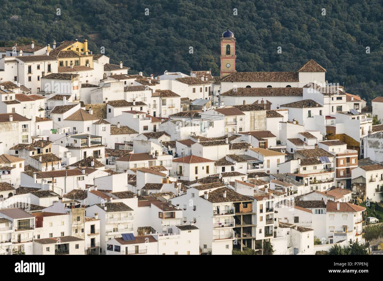 In Andalusia, Spagna. Foto Stock