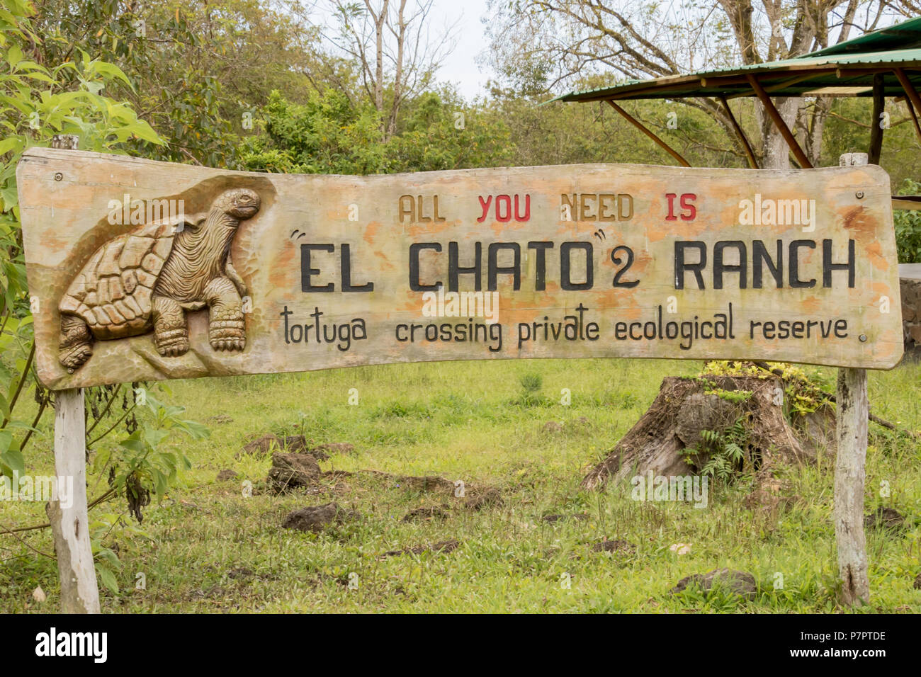 El Chato 2 Ranch Tortuga attraversando segno - le Galapagos Foto Stock