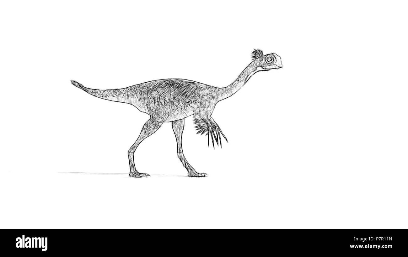 Gigantoraptor erlianensis Foto Stock