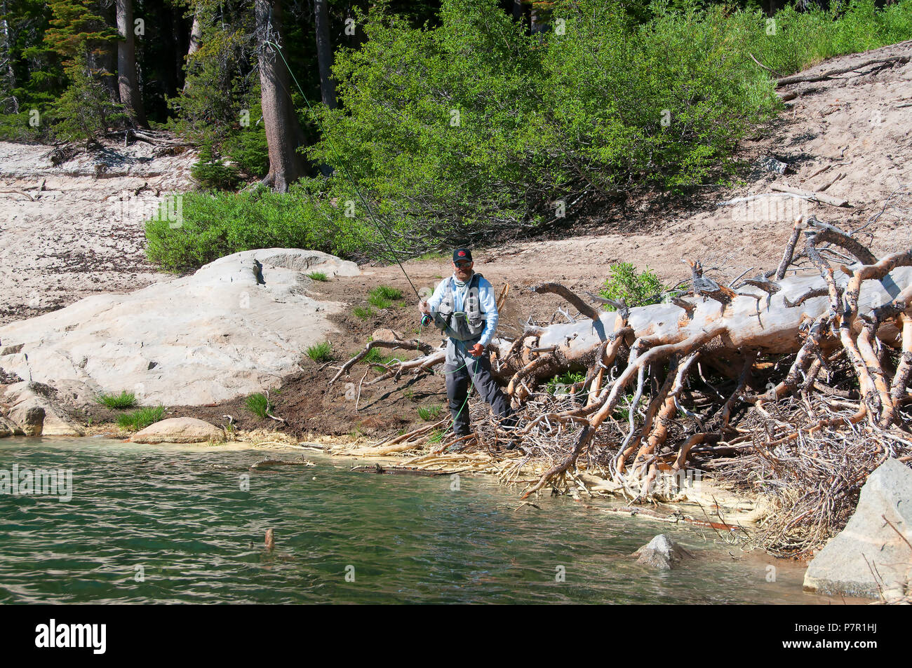 Molti dei piccoli laghi Mammoth Lakes zona offrono eccellenti opportunità di pesca per colorata trota di fiume come questa guida rivela. Foto Stock
