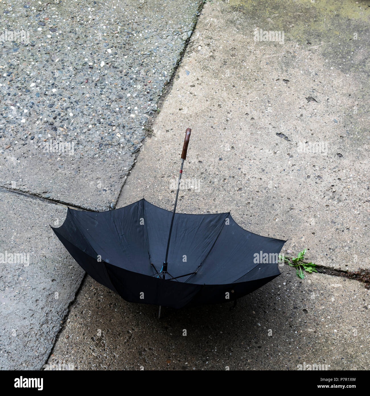 Aprire Ombrello nero appoggiato su una superficie in calcestruzzo, dal di sopra Foto Stock