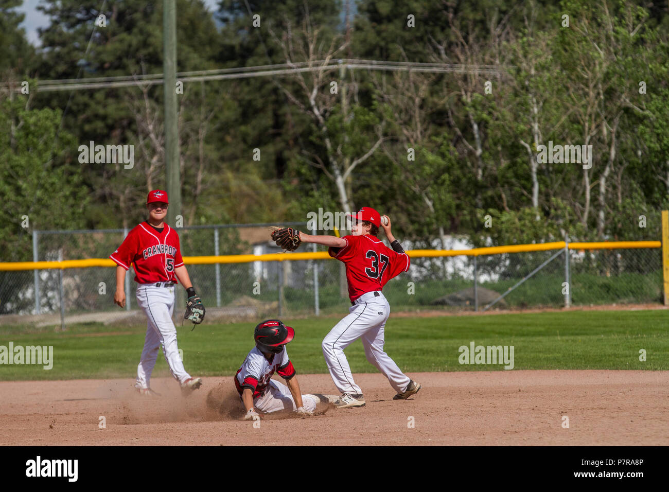 Doppia azione di gioco a seconda base, scorrevole nella seconda bseman gettare al primo pomeriggio ragazzi junior gioco di baseball. Cranbrook, BC. Foto Stock