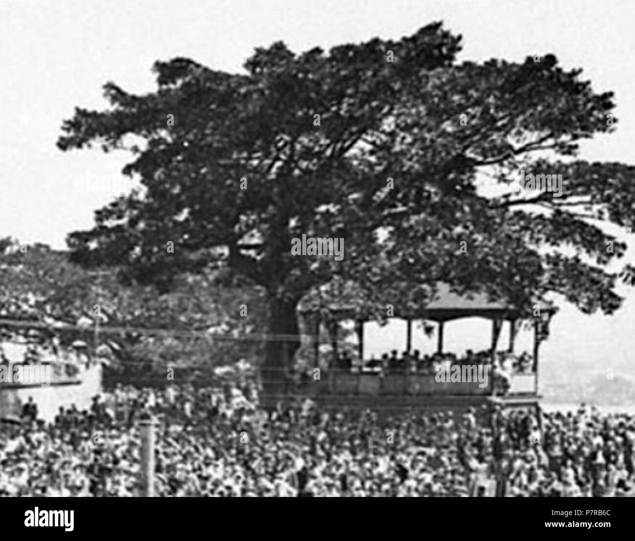 Inglese: Sala Rotonda Observatory Hill, Sydney 1932 . 1932 336 Rotunda Parco Osservatorio 1932 Foto Stock