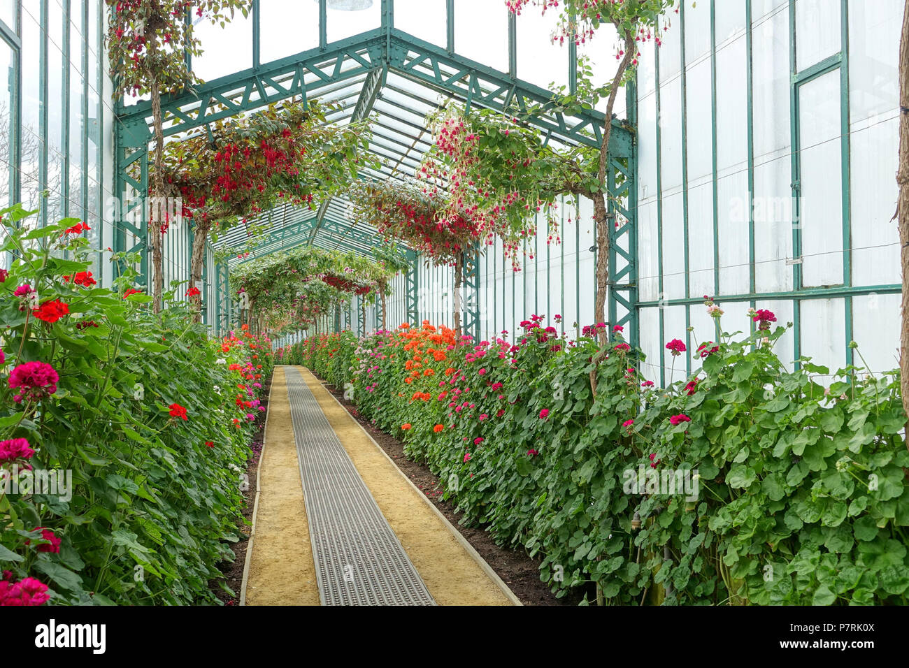 Inglese: vista interna, Laeken Serre Reali - Castello Reale di Laeken - Bruxelles, Belgio. 17 aprile 2016, 07:35:46 204 vista interna - Reale di Laeken Serre - Castello Reale di Laeken - Bruxelles, Belgio - DSC07298 Foto Stock