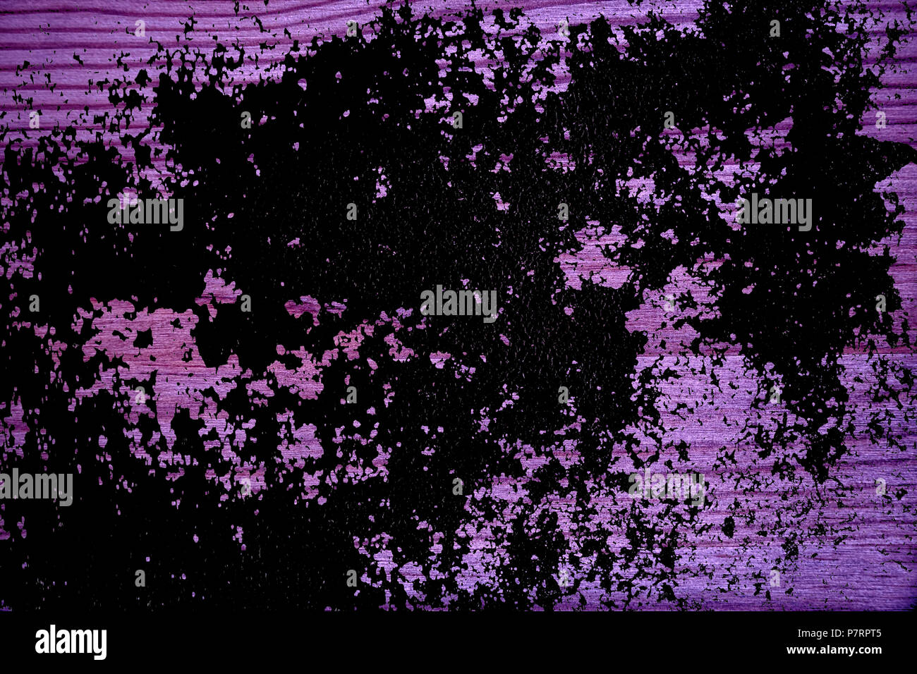 Grunge Ultra Viola texture di legno, taglio di superficie della scheda per gli elementi di design. Foto Stock