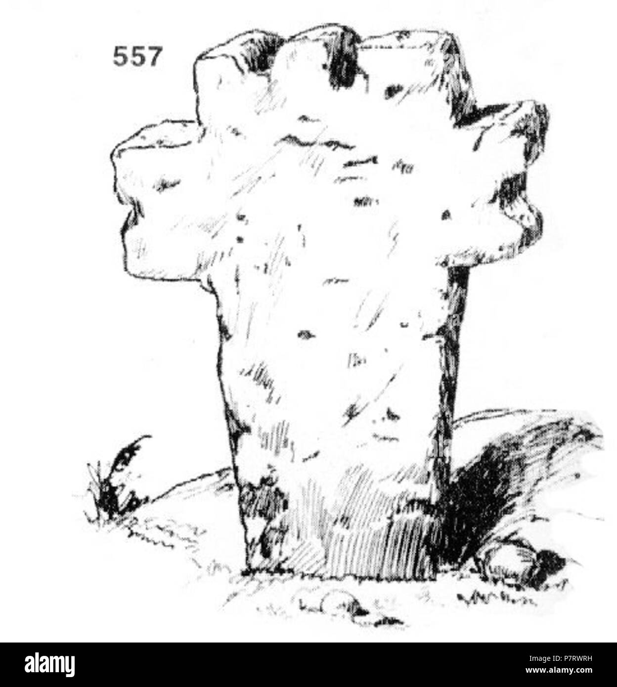 : 557. - , ( ) . . . . - . : 6042 10 . 8.VIII.921 . (.. 11, . 43.) . 8 agosto 1921 208 Ivan Enchev-Vidyu folk bulgaro attraversa 557 Foto Stock