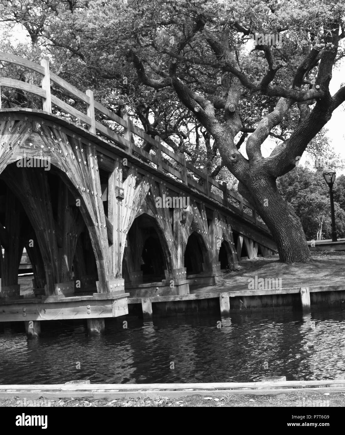 Outer Banks beach NC north caroliona corolla hatteras duck kittyhawk carova isola seashsell sposa faro Foto Stock