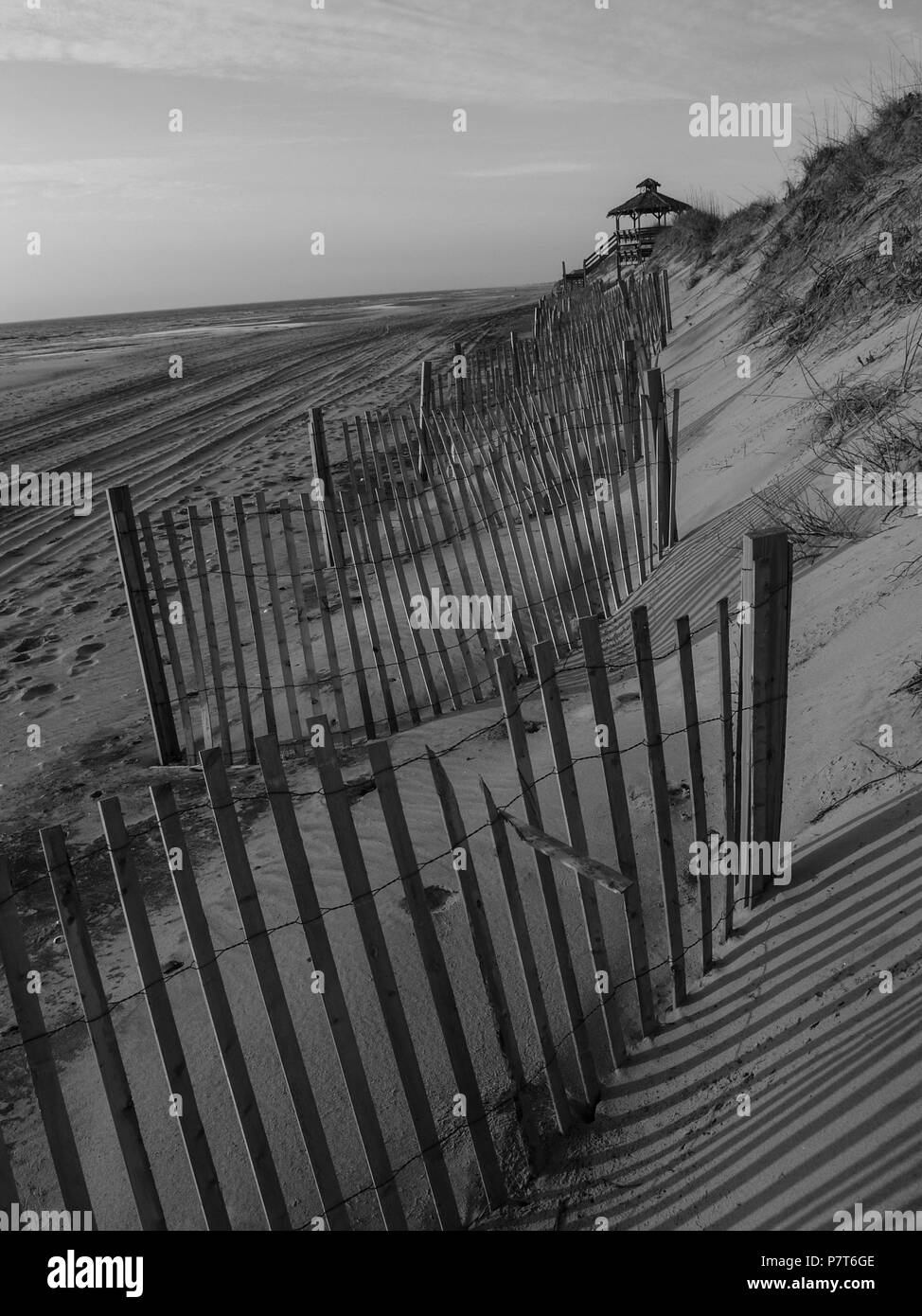 Outer Banks beach NC north caroliona corolla hatteras duck kittyhawk carova isola seashsell sposa faro Foto Stock