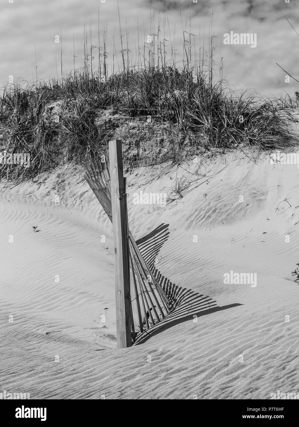 Outer Banks beach NC north caroliona corolla hatteras duck kittyhawk carova isola seashsell sposa faro Foto Stock
