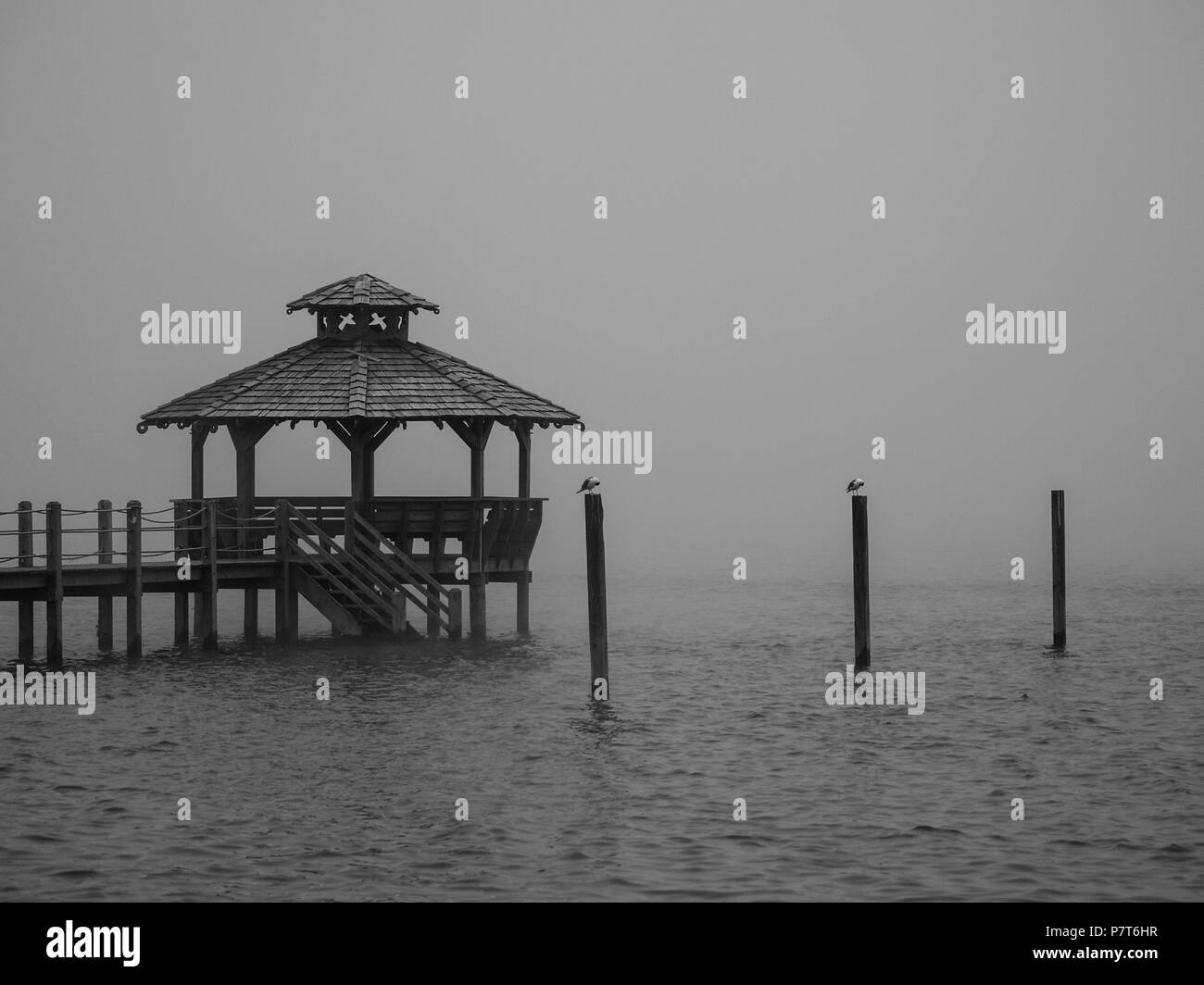 Outer Banks beach NC north caroliona corolla hatteras duck kittyhawk carova isola seashsell sposa faro Foto Stock