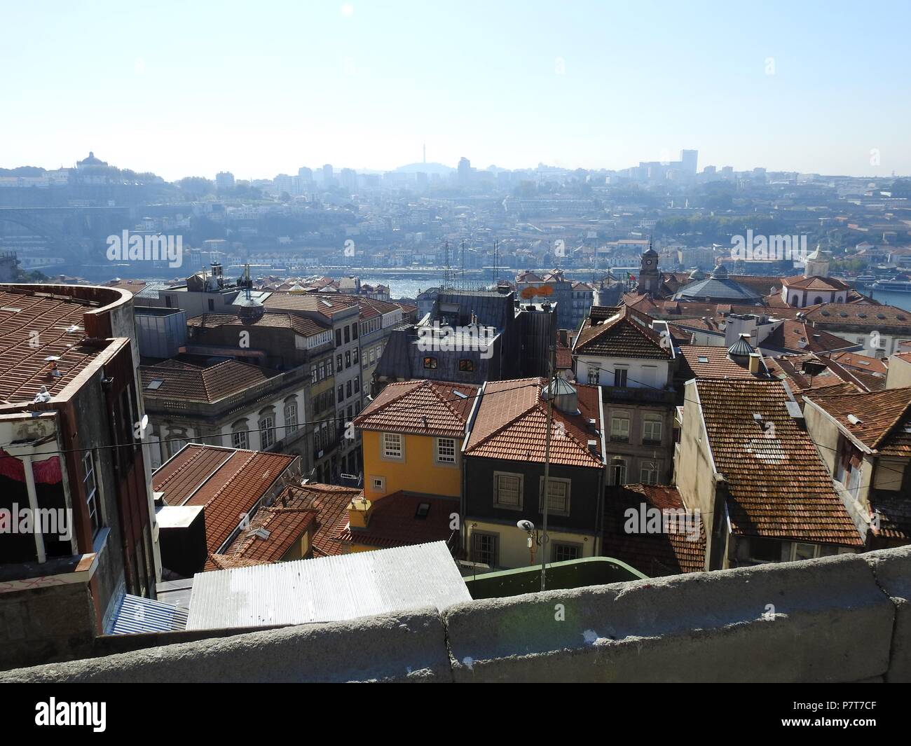 I tetti di Porto in Portogallo. Foto Stock