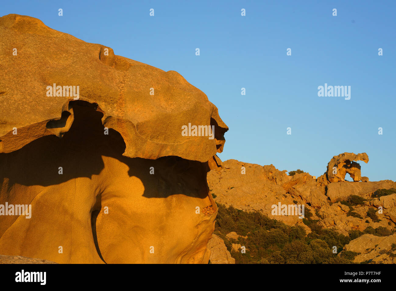 Formazioni rocciose granitiche di forma strana di Capo d'Orso. Gallura, Provincia di Sassari, Sardegna, Italia. Foto Stock