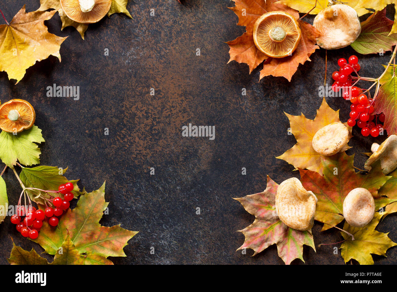Autunno sfondo con autunno rosso acero e foglie d'arancio, funghi e frutti di bosco su sfondo di ardesia. Foto Stock