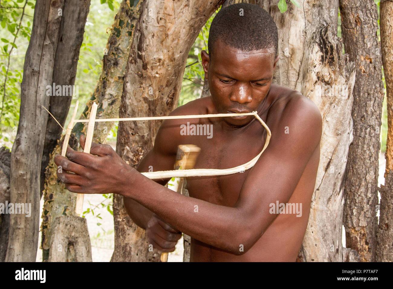 Il museo vivente del Mbunza sul fiume Kavango nei pressi di Rundu ricrea una sostenibile, autentica, pre-villaggio coloniale. Riproduzione di un archetto musicale Foto Stock