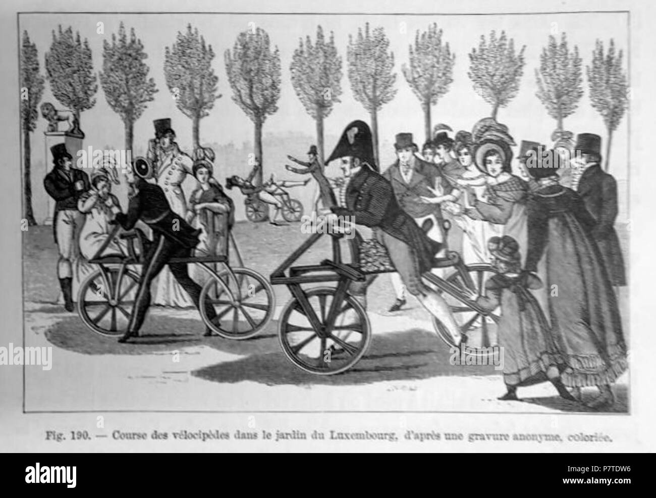 N/A. N/A 405 WolfJardDu Lux Foto Stock