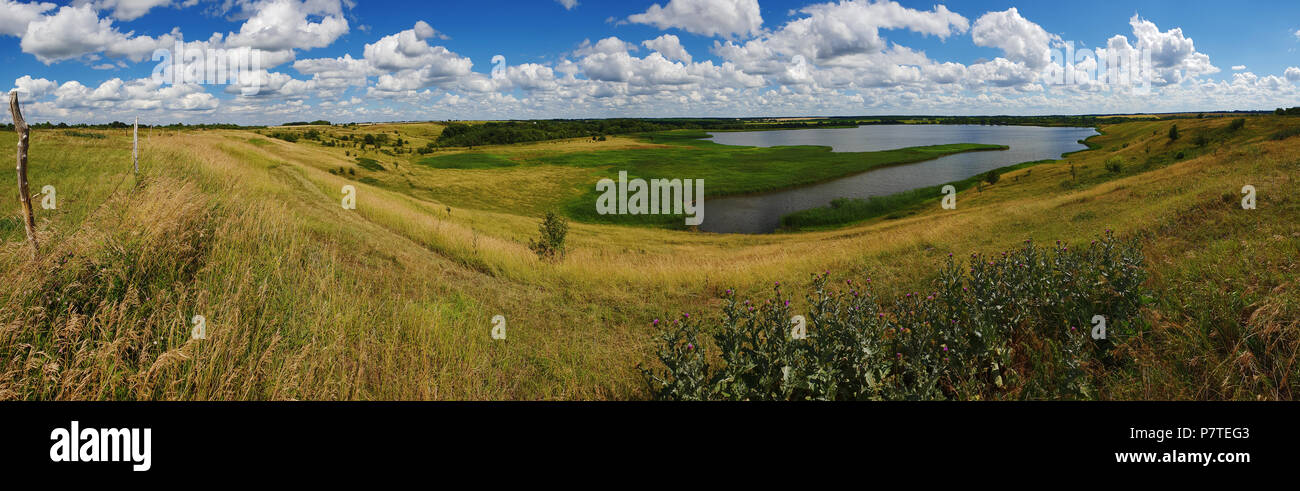 Panorama del paesaggio estivo con stagno in Russia Foto Stock