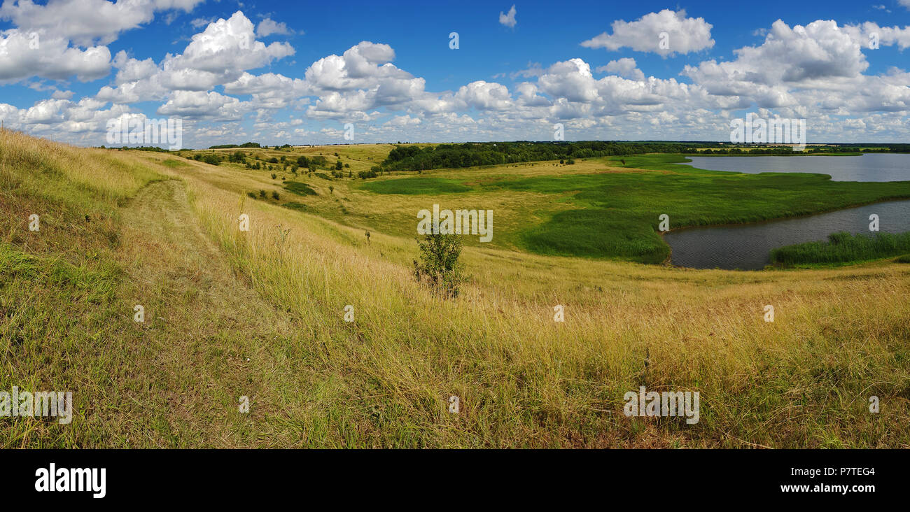 Panorama del paesaggio estivo con stagno in Russia Foto Stock