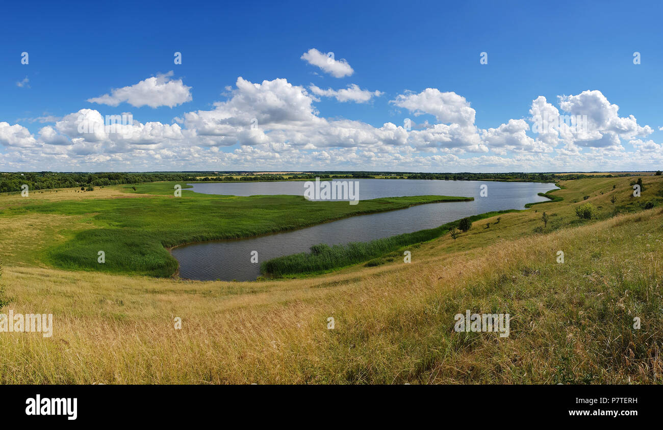 Panorama del paesaggio estivo con stagno in Russia Foto Stock