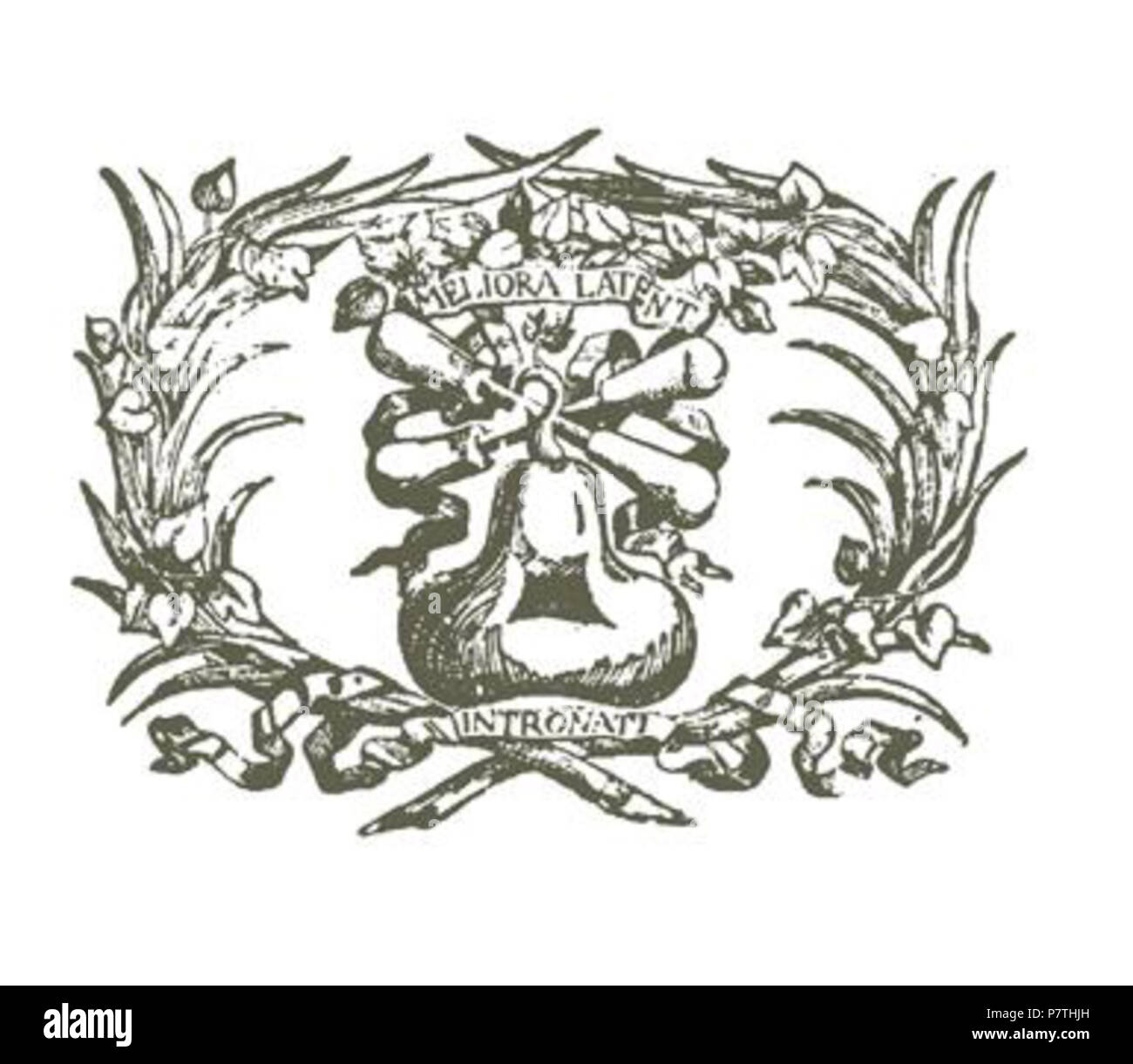 Inglese: Accademia senese Intronati (segno) . 12 febbraio 2013, 15:17:23 12 Accademia senese degli Intronati (insegna) Foto Stock