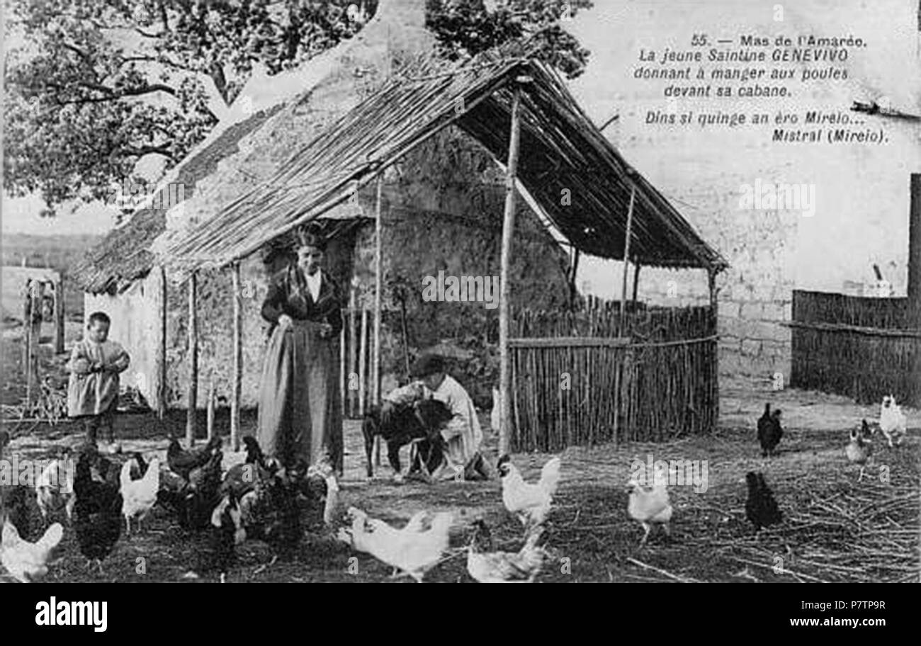 Français : Cabane de gardian au mas de l'Amarée dans les années 1900. 5 Febbraio 2012 58 Cabane de l amaree Foto Stock