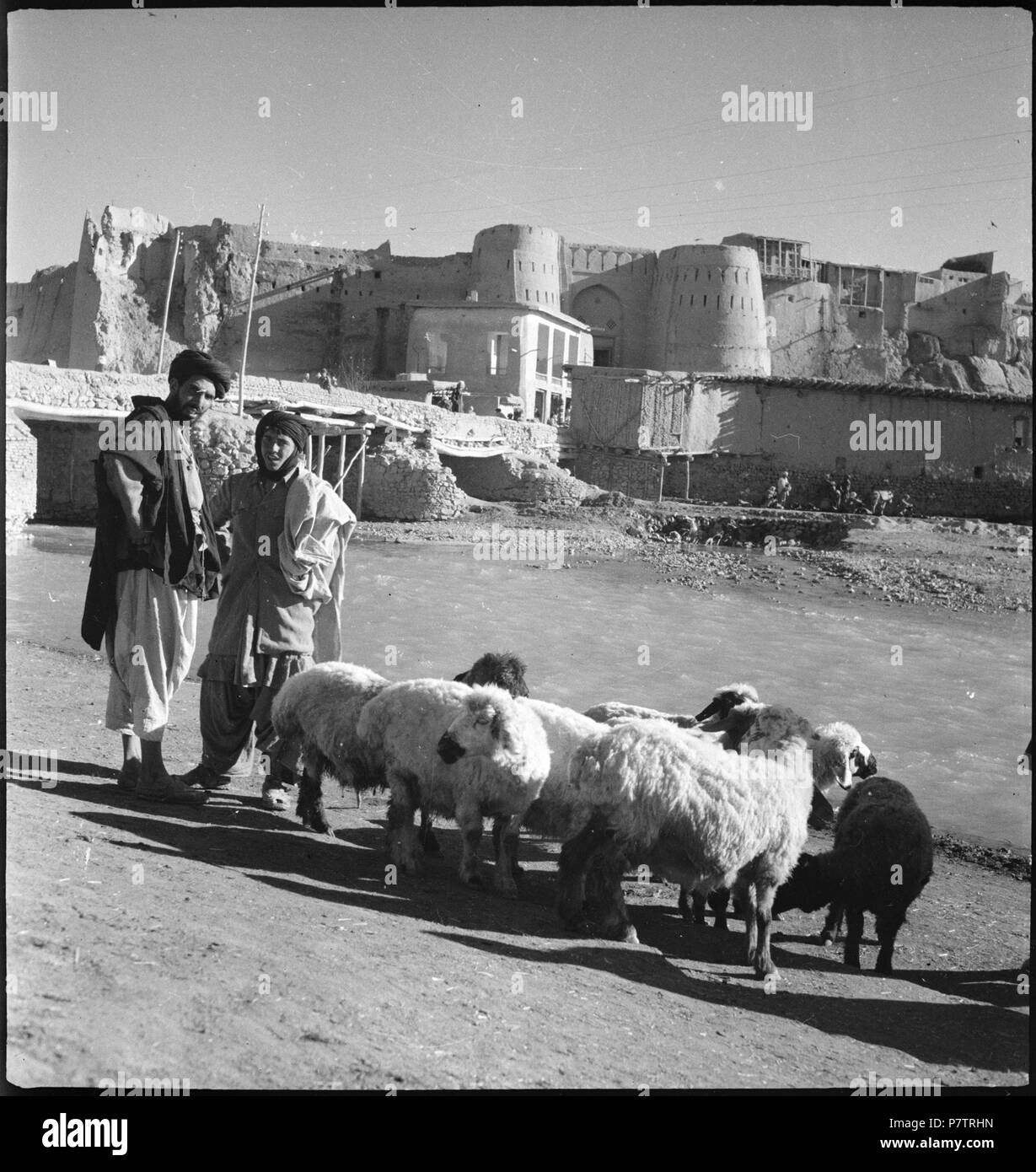 Afghanistan, Ghazni (Ghazna): Menschen; Zwei Männer mit Schafen un einem Fluss, im Hintergrund das Stadttor von Ghazni. Dal 1939 fino al 1940 64 CH-NB - Afghanistan, Ghazni (Ghazna)- Menschen - Annemarie Schwarzenbach - SLA-Schwarzenbach-UN-5-21-162 Foto Stock