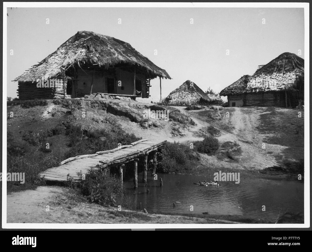 Persien, Mazanderan (Mazandaran): Dorf; Siedlung mit Häusern, Häuser mit Strohdächern. Dal 1933 fino al 1934 77 CH-NB - Persien, Mazanderan (Mazandaran)- Dorf - Annemarie Schwarzenbach - SLA-Schwarzenbach-UN-5-04-079 Foto Stock