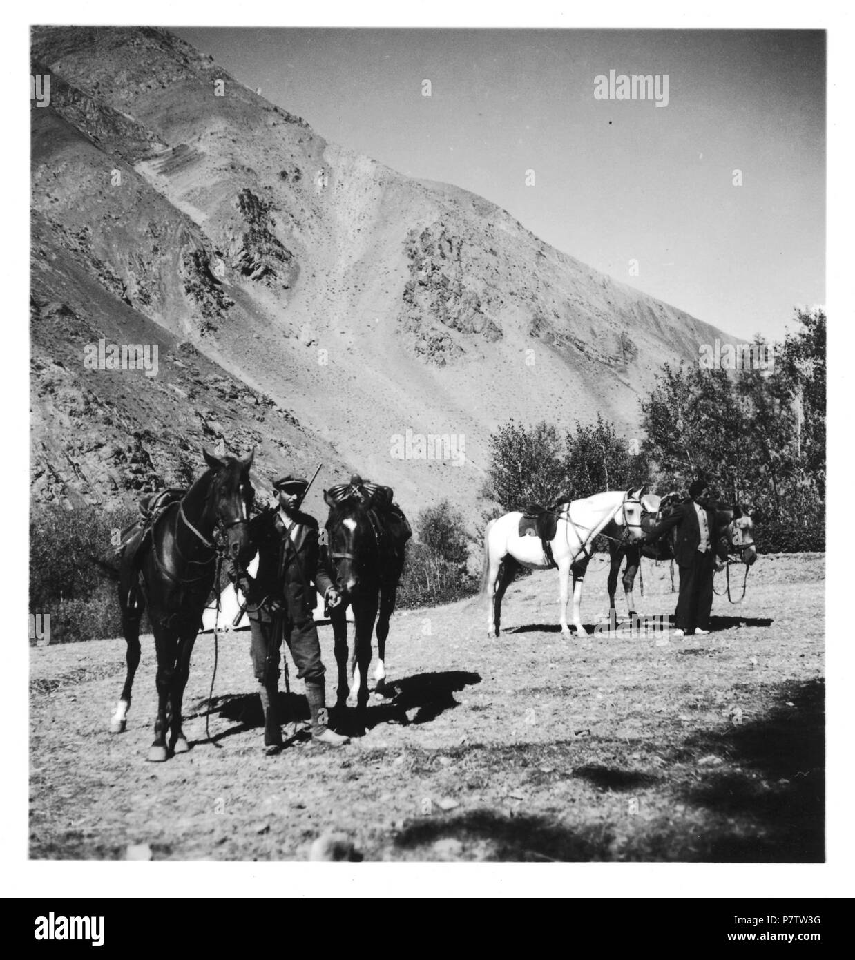 Persien, Scharis-Danek Elburs-Gebirge im (Elburz): Jagd; Gesattelte Pferde. Dal 1935 fino al 1935 78 CH-NB - Persien, Scharis-Danek Elburs-Gebirge im (Elburz)- Jagd - Annemarie Schwarzenbach - SLA-Schwarzenbach-UN-5-06-317 Foto Stock