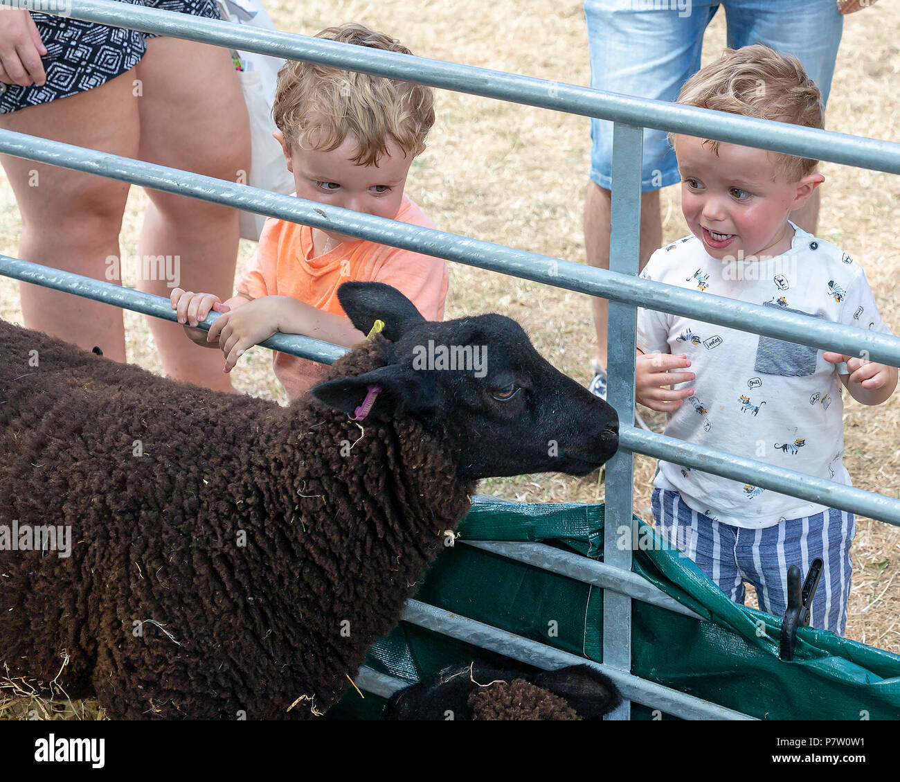 Cheshire, Regno Unito. 7 Luglio, 2018. hanno tenuto la loro undicesima fete sul campo eventi dove centinaia di persone braved la canicola e si è divertita Credito: John Hopkins/Alamy Live News Foto Stock