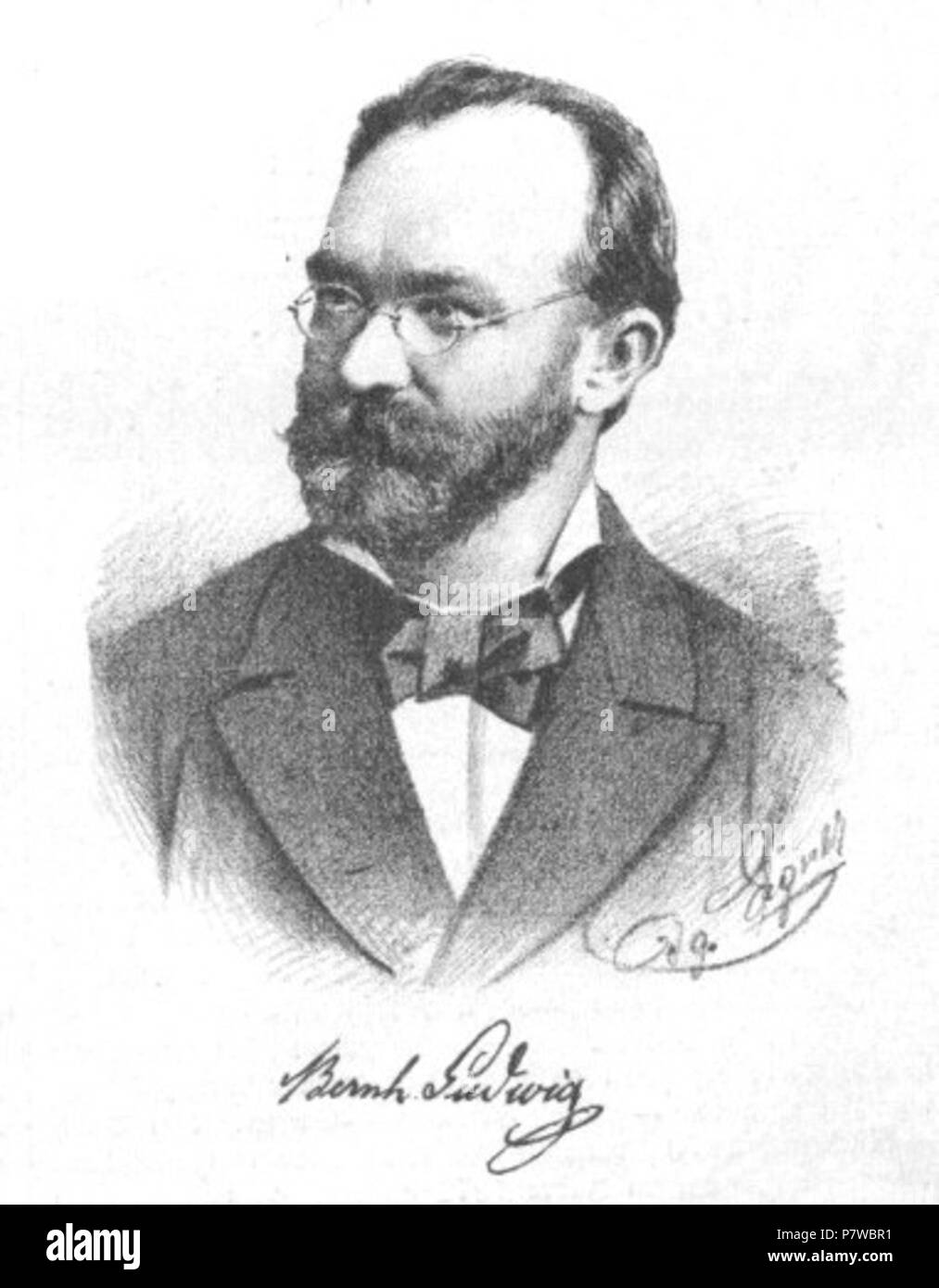 Inglese: Ritratto di Bernhard Hieronymus Ludwig (1834-1897), imprenditore austriaco, produttore di mobili. 12 Luglio 1888 42 Bernhard Ludwig 1888 Eigner Foto Stock