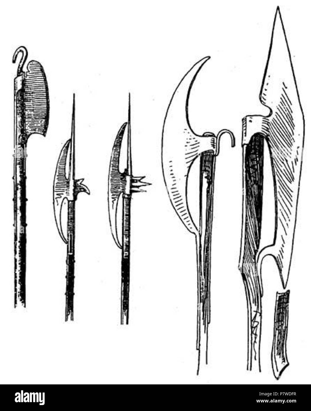 : ' ' . 1890 49 Boeheim (365) Foto Stock