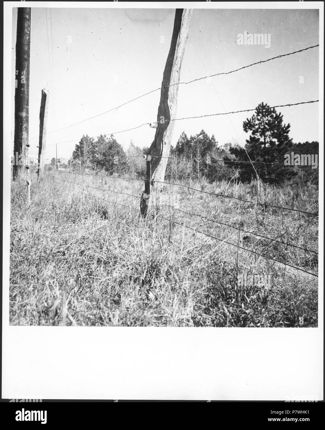 85 CH-NB - USA, Harris County-GA- Gefängnis - Annemarie Schwarzenbach - SLA-Schwarzenbach-UN-5-11-074 Foto Stock