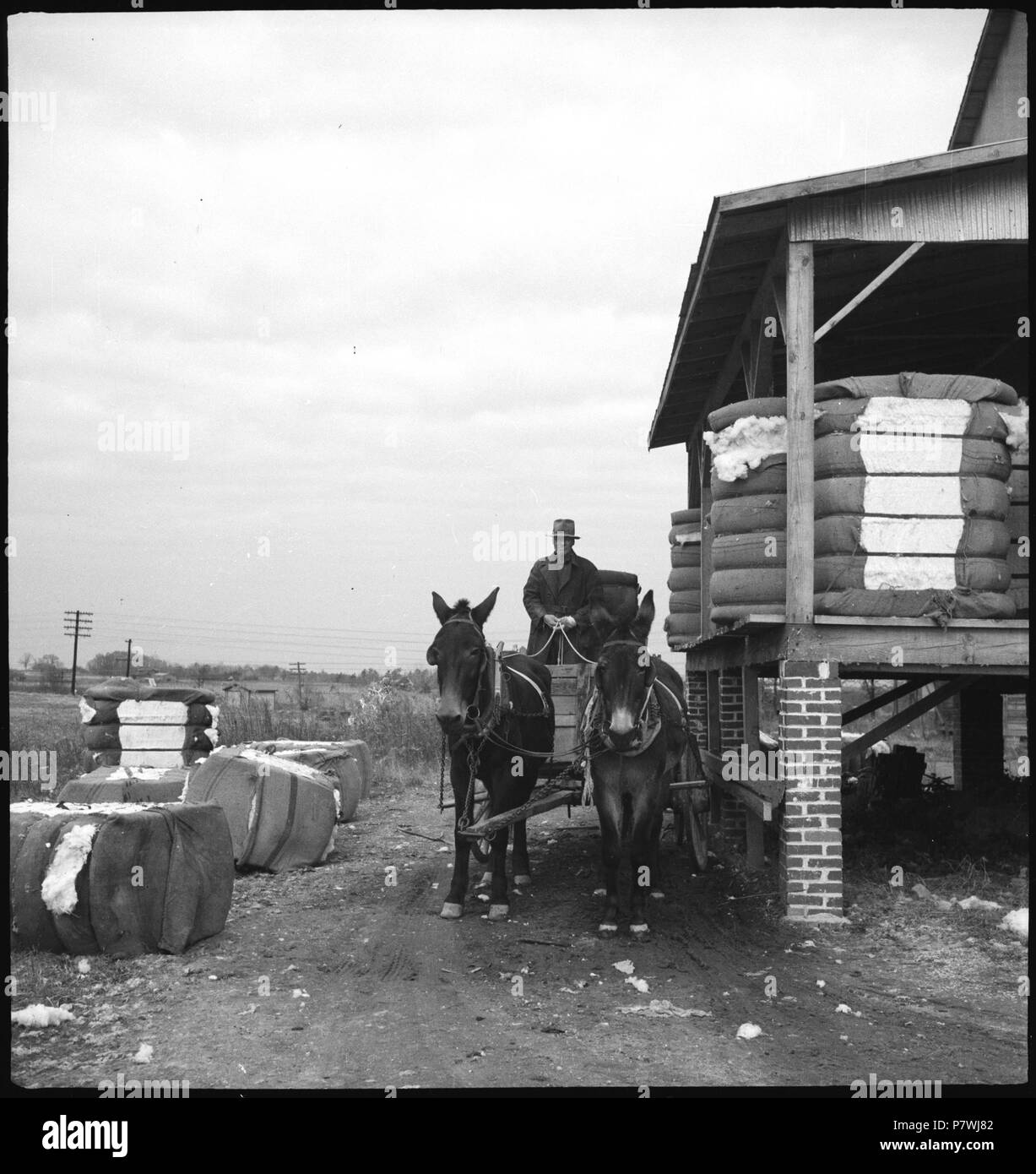 Stati Uniti d'America, zwischen Montgomery/AL und Columbus/GA: Baumwolle; Maultierkutsche neben einem Gebäude in dem gestapelt Baumwollballen sind. Dal 1936 fino al 1938 87 CH-NB - USA, zwischen Montgomery-AL und Columbus-GA- Baumwolle - Annemarie Schwarzenbach - SLA-Schwarzenbach-UN-5-11-075 Foto Stock