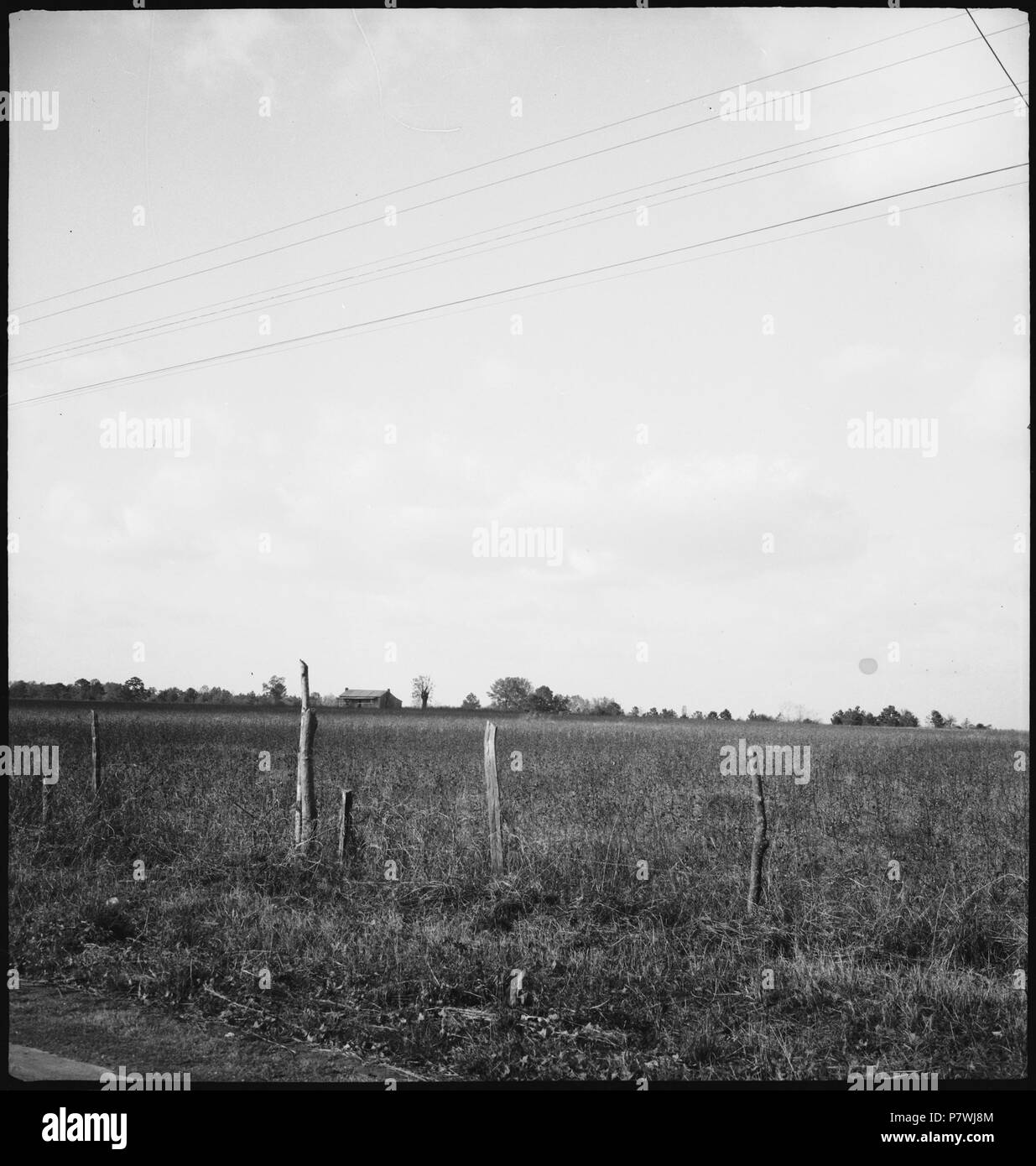 Stati Uniti d'America, zwischen Montgomery/AL und Columbus/GA: Landschaft; Flache Landschaft mit Weideland. Dal 1936 fino al 1938 87 CH-NB - USA, zwischen Montgomery-AL und Columbus-GA- Landschaft - Annemarie Schwarzenbach - SLA-Schwarzenbach-UN-5-11-050 Foto Stock