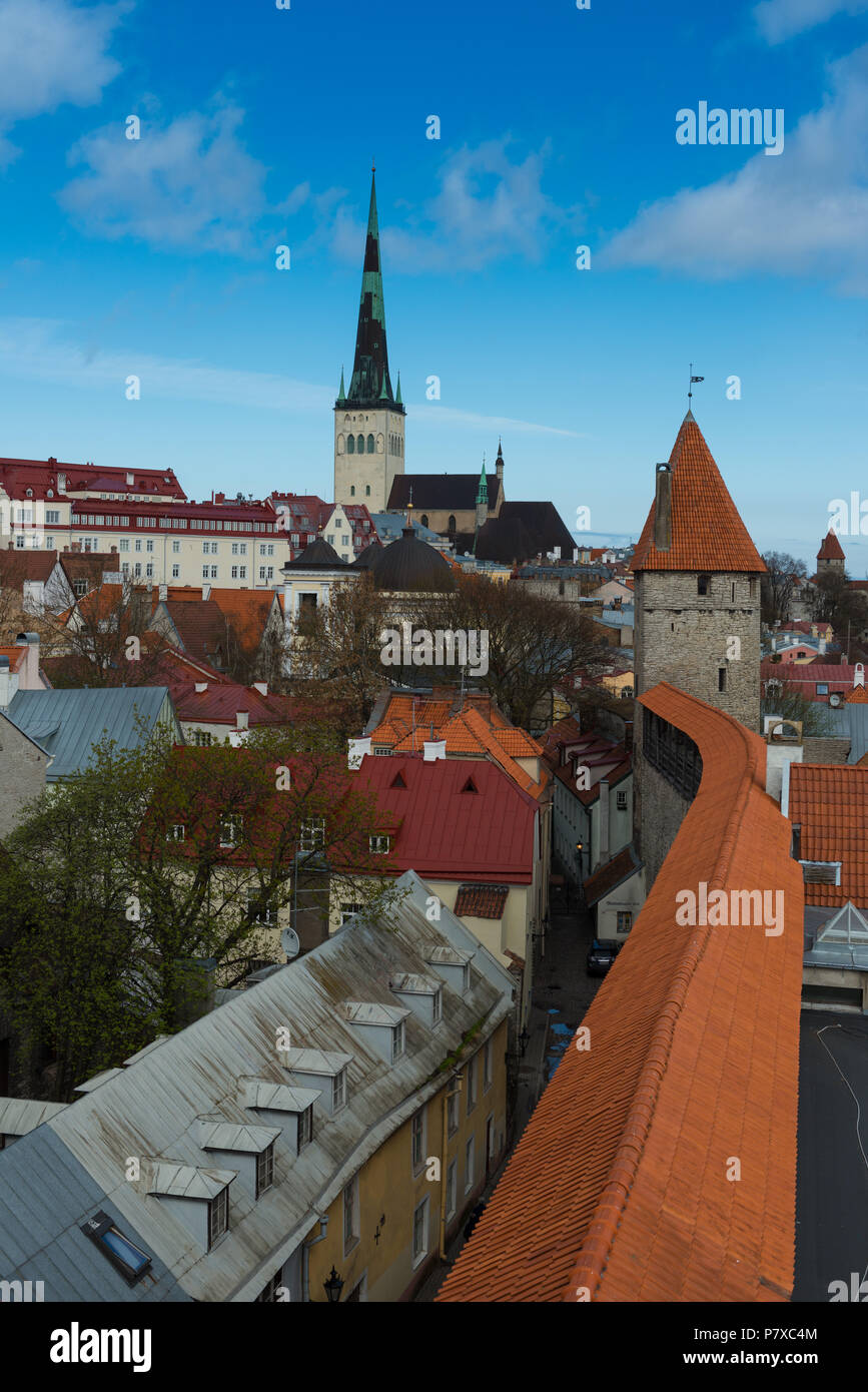 Lo skyline di Tallinn con mura e torri chiesa di Oleviste Foto Stock