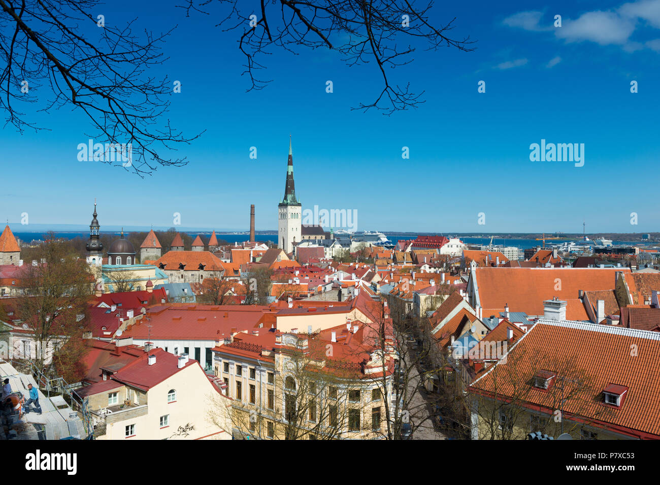 Panorama della città vecchia di Tallinn, Estonia Foto Stock