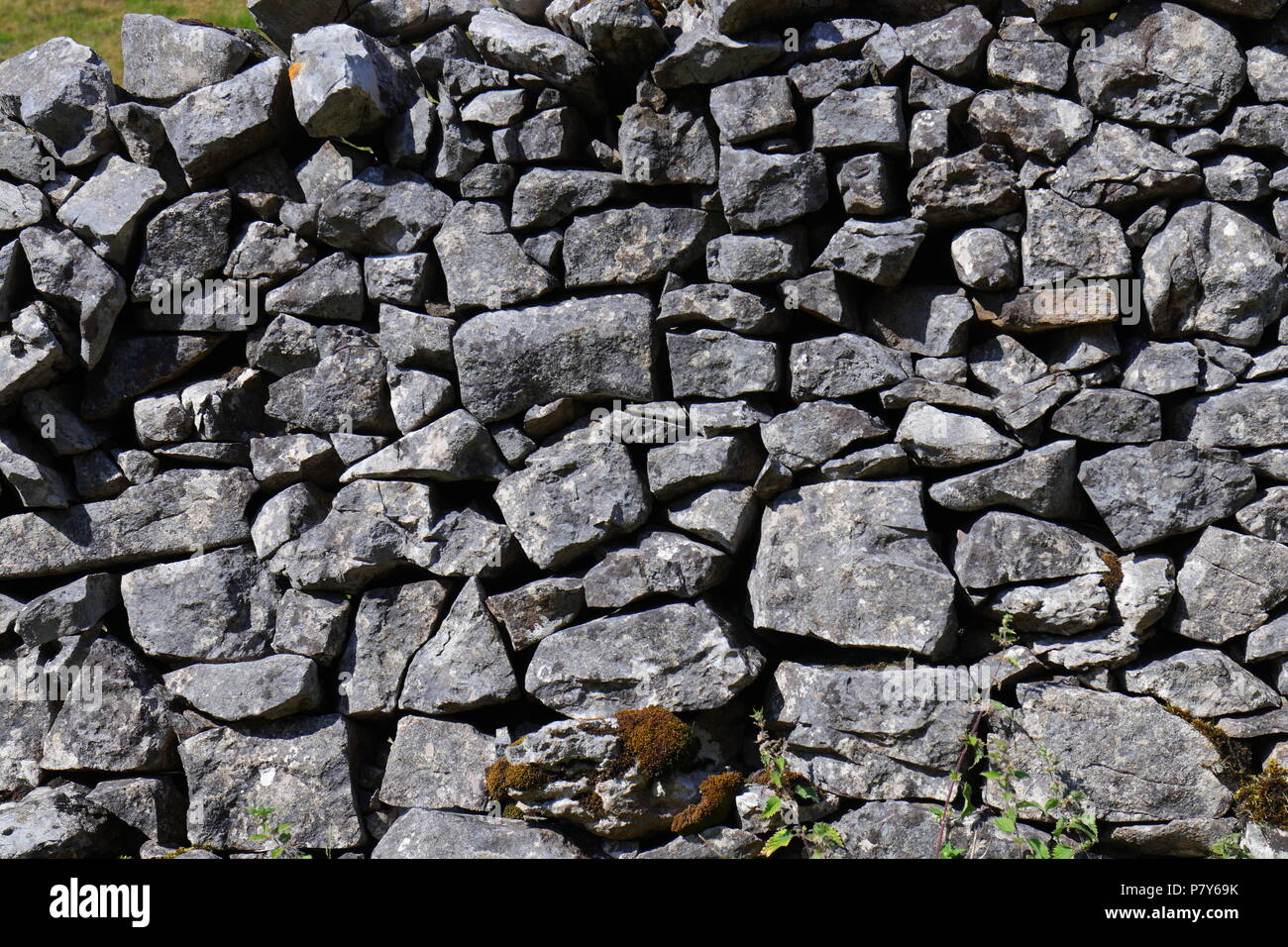 Uno dei molti muri in pietra a secco lungo la strada al vertice Ingleborough e uno dei percorsi del Yorkshire tre picchi di sfida. Foto Stock