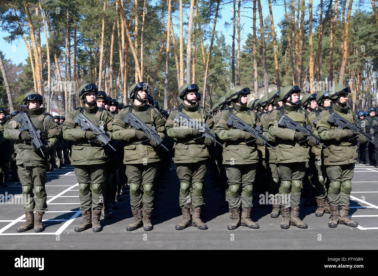 Soldati di ucraini di forze speciali della guardia nazionale in piedi in linea sulla parata a terra. Marzo 23, 2018. Staroe, Ucraina Foto Stock