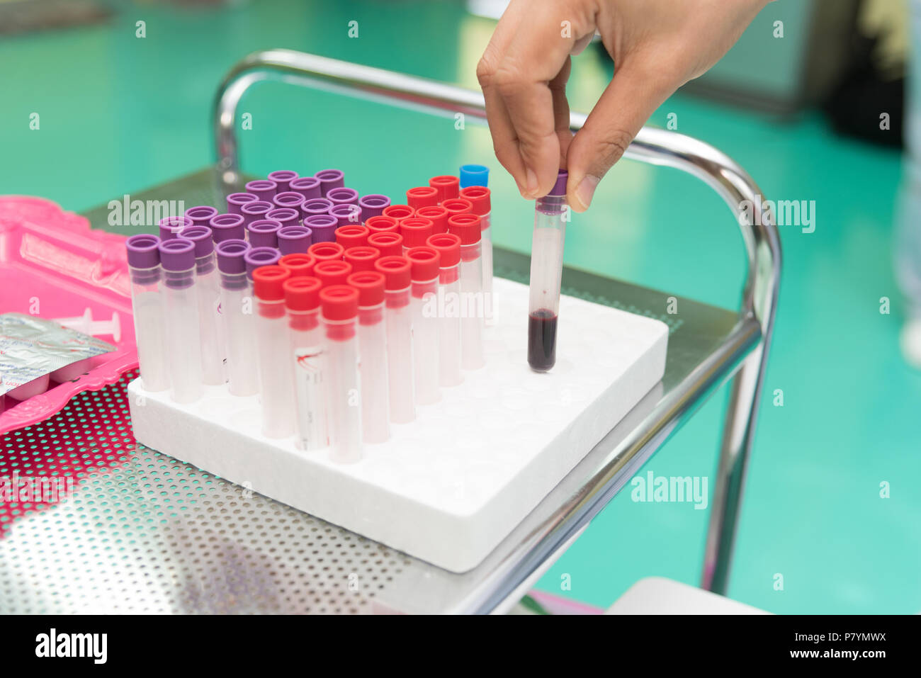 Esame del sangue raccogliere in un tubo di prova di laboratorio dell'ospedale. Esame fisico e concetto di assistenza sanitaria Foto Stock