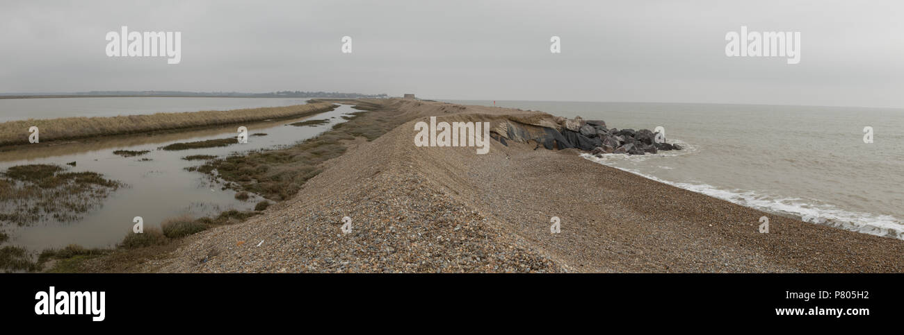 Il mare e le difese di erosione costiera allo spiedo che separa il fiume Alde dal Mare del Nord a Aldeburgh, Suffolk Foto Stock