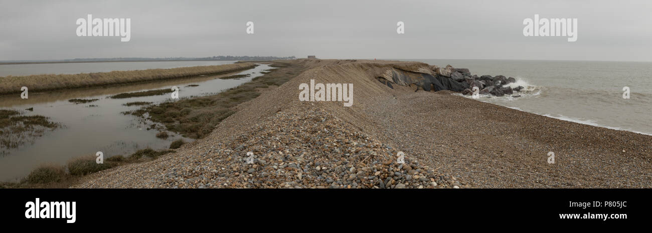 Il mare e le difese di erosione costiera allo spiedo che separa il fiume Alde dal Mare del Nord a Aldeburgh, Suffolk Foto Stock