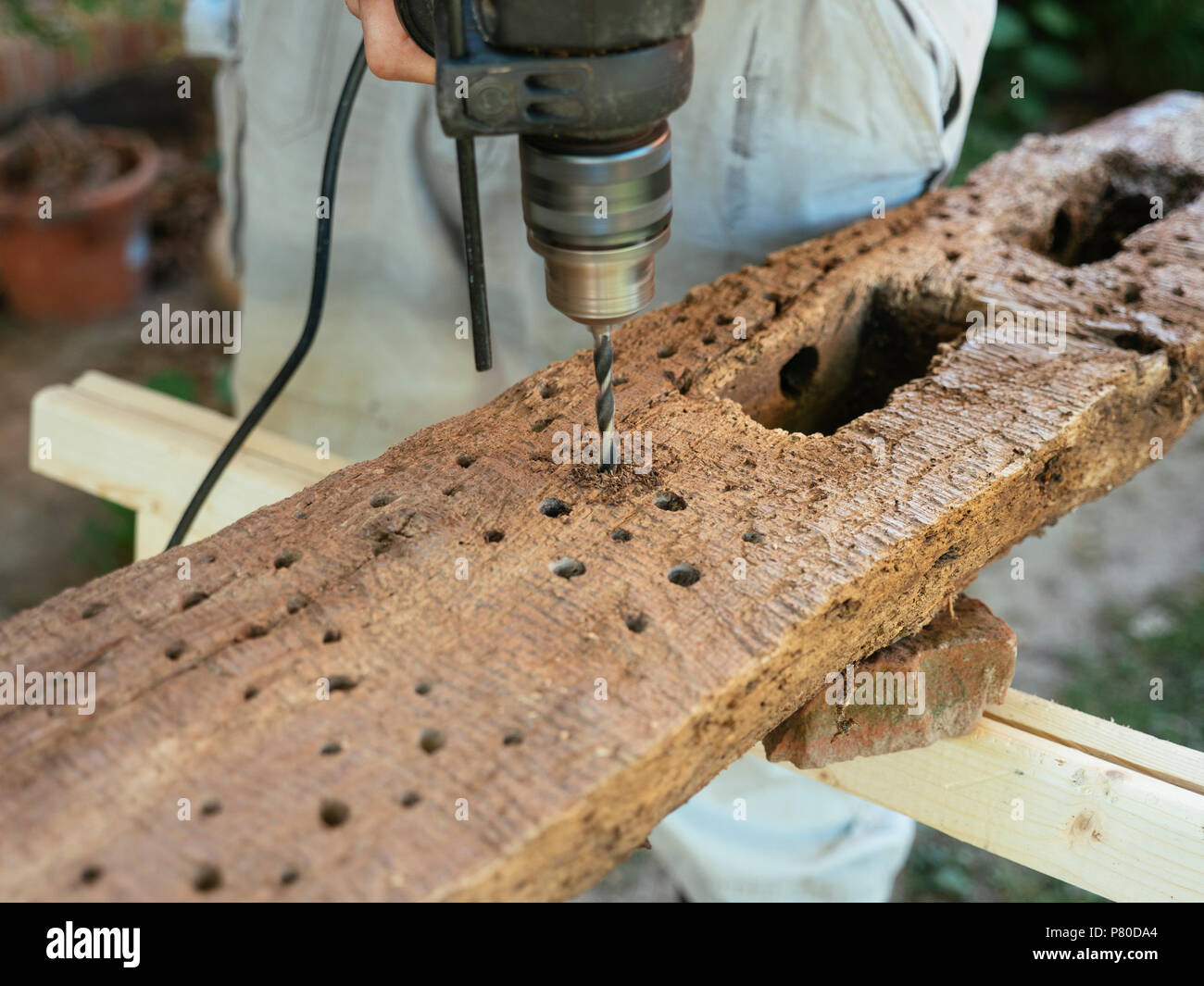 L'uomo la costruzione di un hotel bee praticando dei fori in antico legno di quercia. Foto Stock