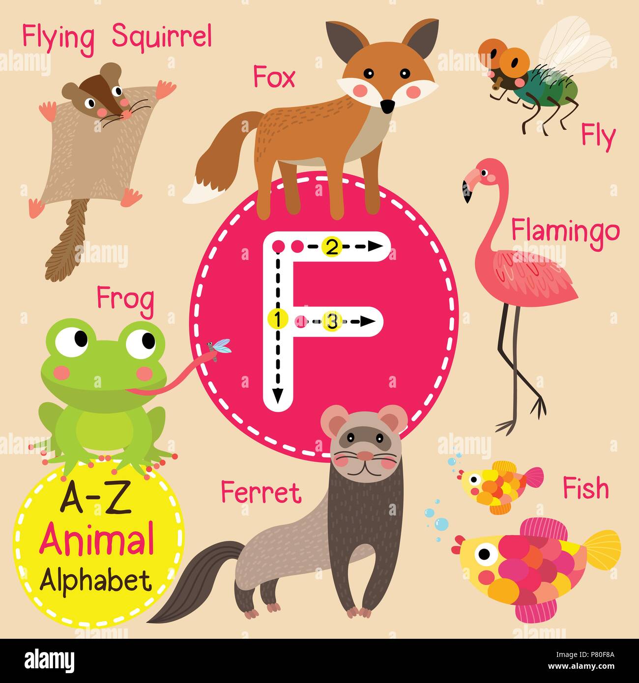 Carino lo zoo per bambini alfabeto lettera F il tracciamento di animale divertente cartone animato per bambini imparare il vocabolario di inglese Illustrazione Vettoriale