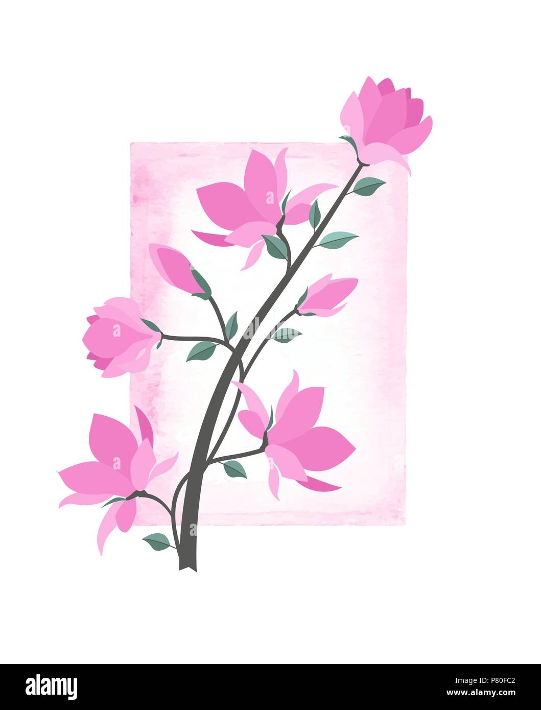 Illustrazione Vettoriale fiori di colore rosa con telaio ad acquerello. Molla di fiori di magnolia branch Illustrazione Vettoriale