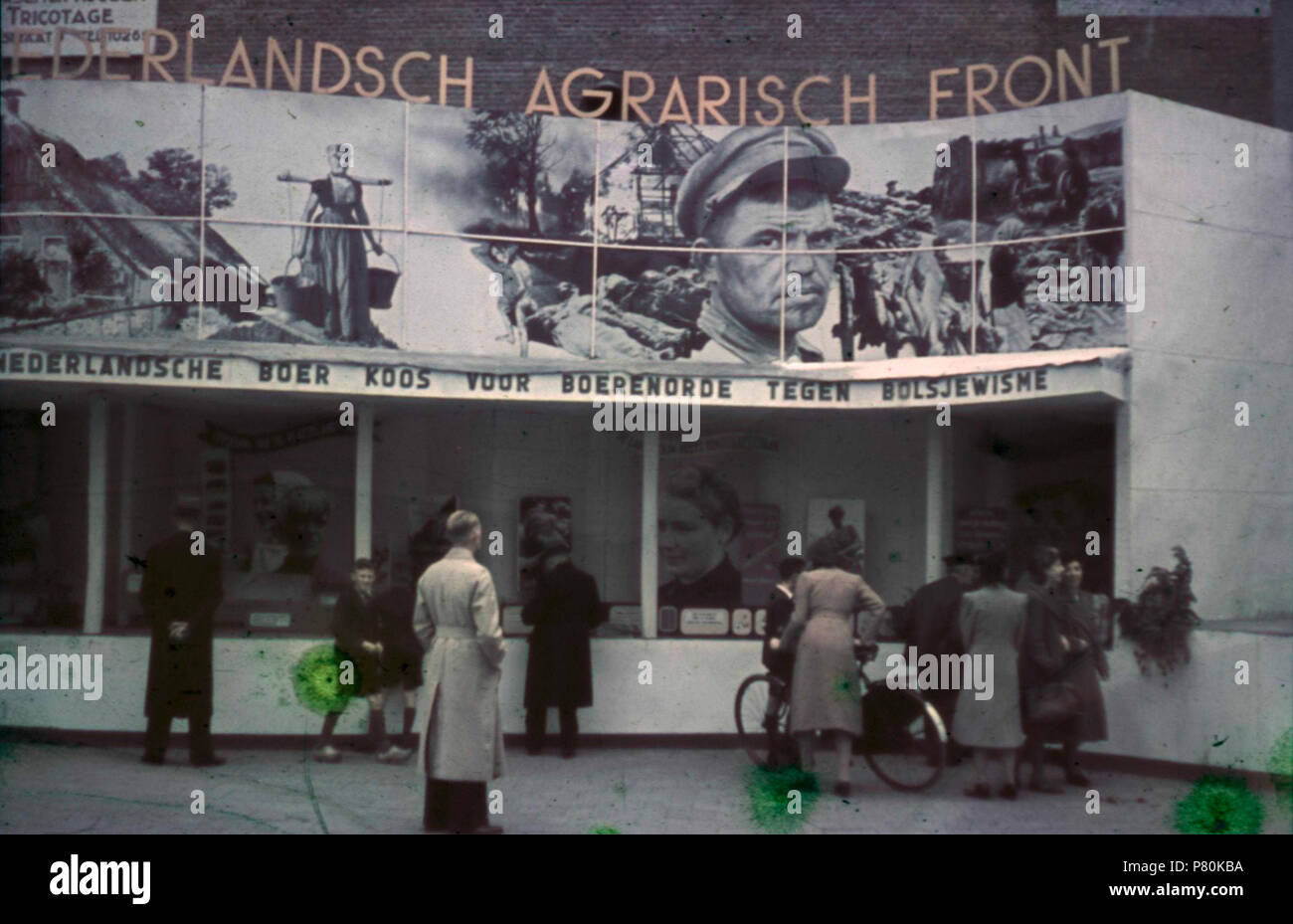 . Propagandatentoonstelling. Nederlands: Propagandatentoonstelling van het Nederlandsch Agrarisch anteriore. Deze foto è afkomstig uit het archief van de Fotodienst der NSB. Data sconosciuta 322 Propagandatentoonstelling - der Fotodienst NSB - NIOD - 210939 Foto Stock